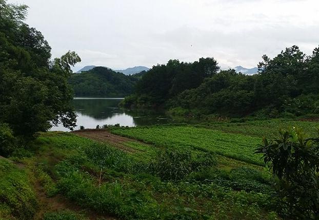 来安县长山王世茂农资店 